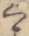 Đã định vị く