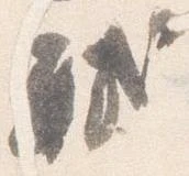 軾 위치 확인됨