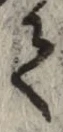 글자 て