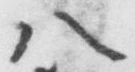 𡨸八