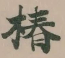 Đã định vị 椿