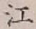 글자 江