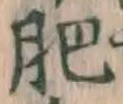 文字肥
