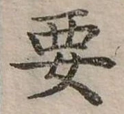位置定マレル要