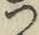 文字 つ