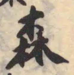 森 위치 확인됨