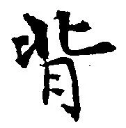 背 위치 확인됨