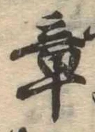 章 위치 확인됨