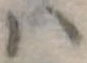 𛂞の位置