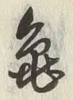 文字亀