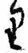 Đã định vị 𛃶