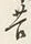 文字苦