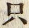 文字只