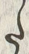 “た”字