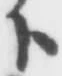 「ト」字