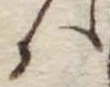 Đã định vị 𛂞