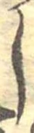 𛁅 위치 확인됨