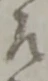 左 위치 확인됨