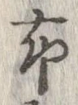 已定位布