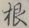 𡨸根