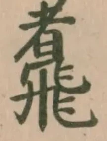 䬡の位置