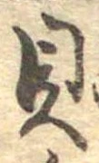 貝 위치 확인됨
