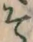 글자 そ