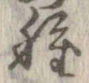 已定位種