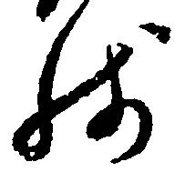 已定位残