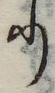 𛃲の位置