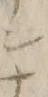 “ナ”字