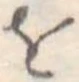 𛄜 위치 확인됨