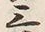 글자 三
