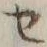 字セ
