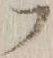 字フ