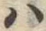 Đã định vị 𛂞