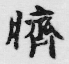 글자 多
