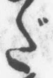 文字だ