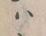 𛂞 위치 확인됨