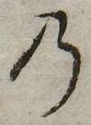 位置 確認된 𛂙
