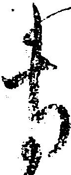 位置定マレル専