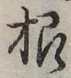根の位置