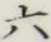 Character 六
