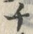 글자 チ