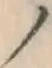 字ノ