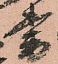 已定位番