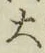 字大