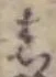 글자 し