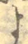 𡨸よ