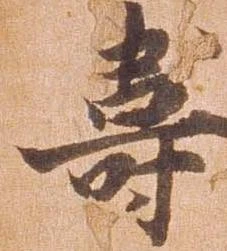 已定位寿